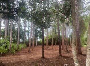 156 Royal Tern Way, Carrabelle, FL 32322