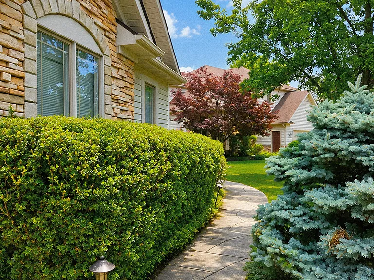 39710 Alsace Ct — Photo 66
