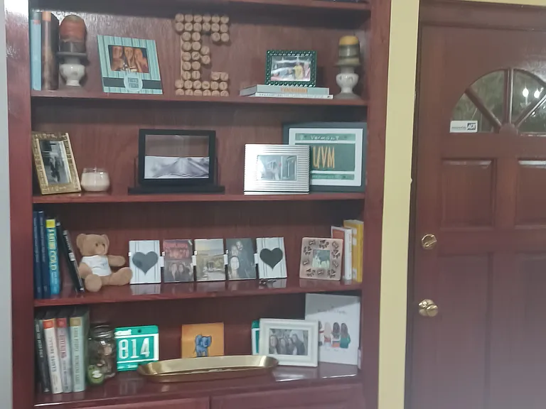 Built in custom shelving and storage