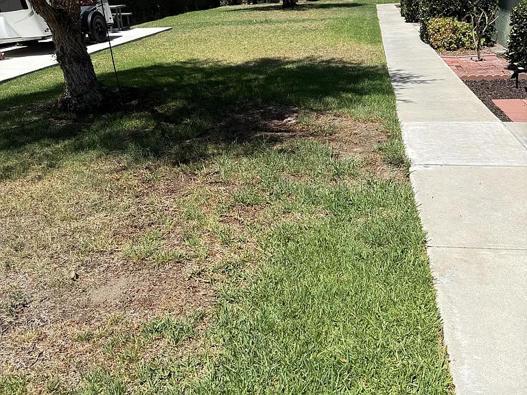 1869 Patricia Ave #2 — Photo 3