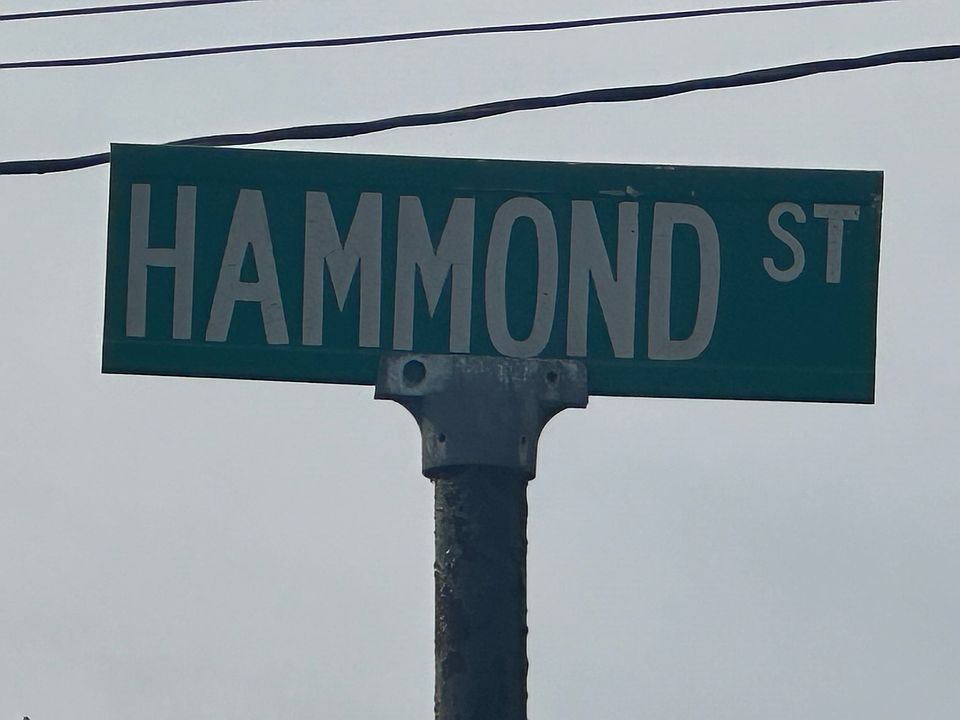 1st image of LOT 1 Hammond St