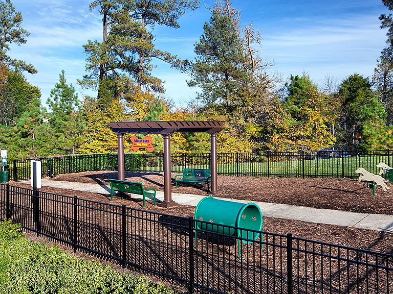 Dog Park