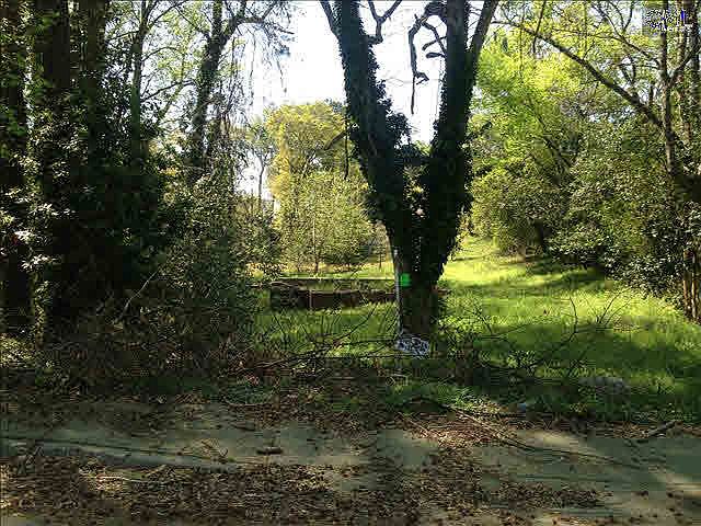 2nd image of 4025 Margrave Rd