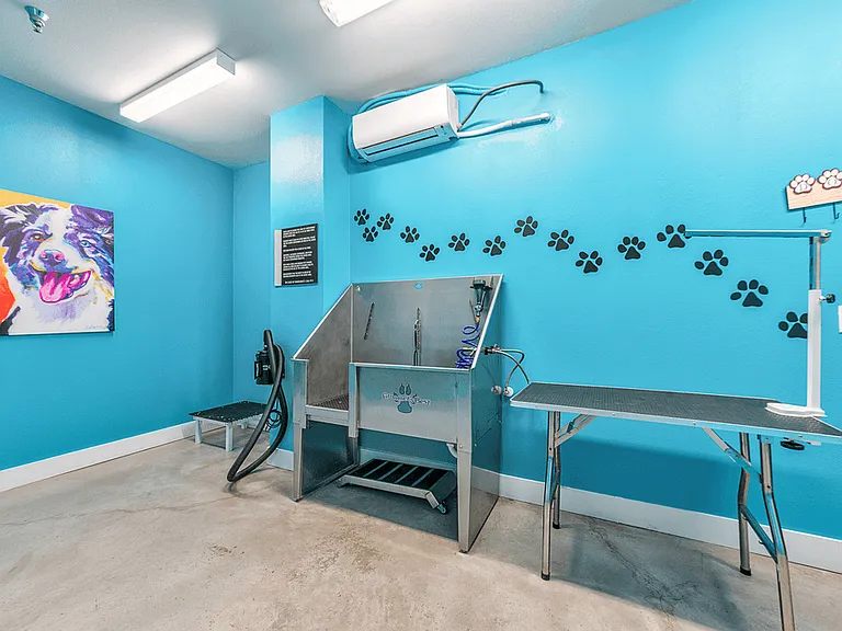 Axis 110 — Photo 25