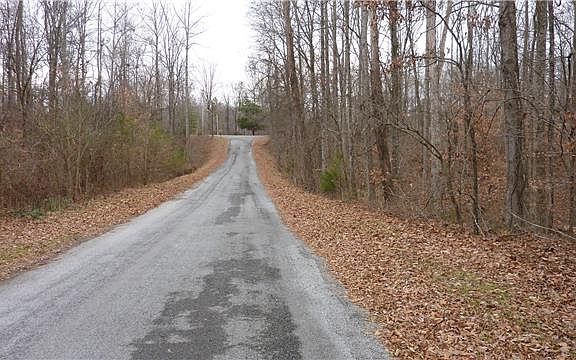 4th image of 81 Bluebird Cir Lot 81