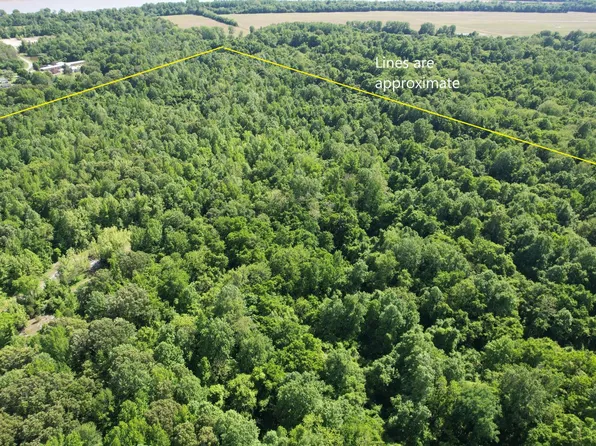 0 Highwater Rd, Rosiclare, IL 62982
