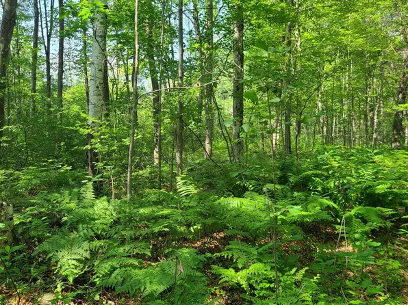 Cth W #Y, Peshtigo, WI 54157