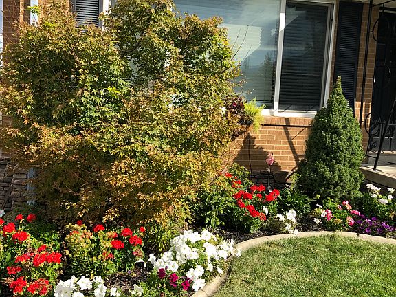 Front house flower bed