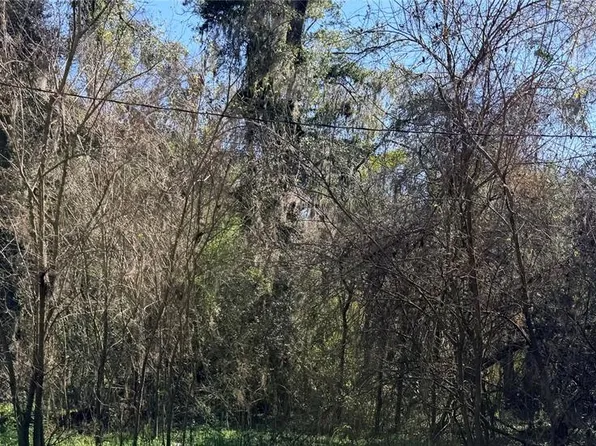 Platted Road Way Lot 19, Alachua, FL 32615