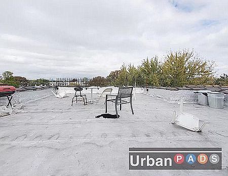 4th image of 284 Halsey St Floor 3