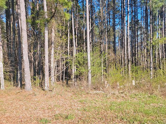 3rd image of LOT 12 N Hillcrest Dr