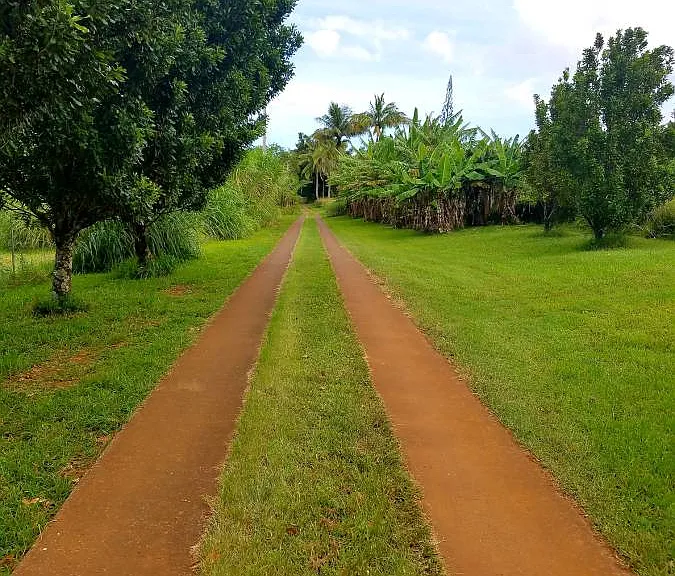 Kauhikoa Rd — Photo 1