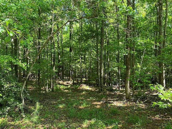 3rd image of 8787 Veterans Pkwy