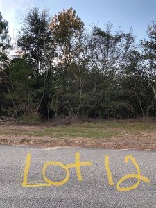 0 Dogwood St, Midland City, AL, 36350