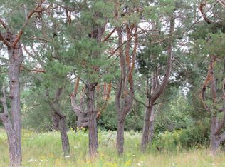 1344 W 21 Mile Rd, Pickford, MI 49774