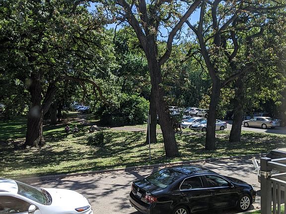 View from apartment overlooking Wingra Park