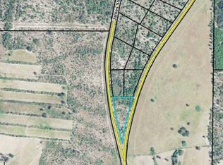 1390 Spring Hill Rd, Mauk, GA 31058