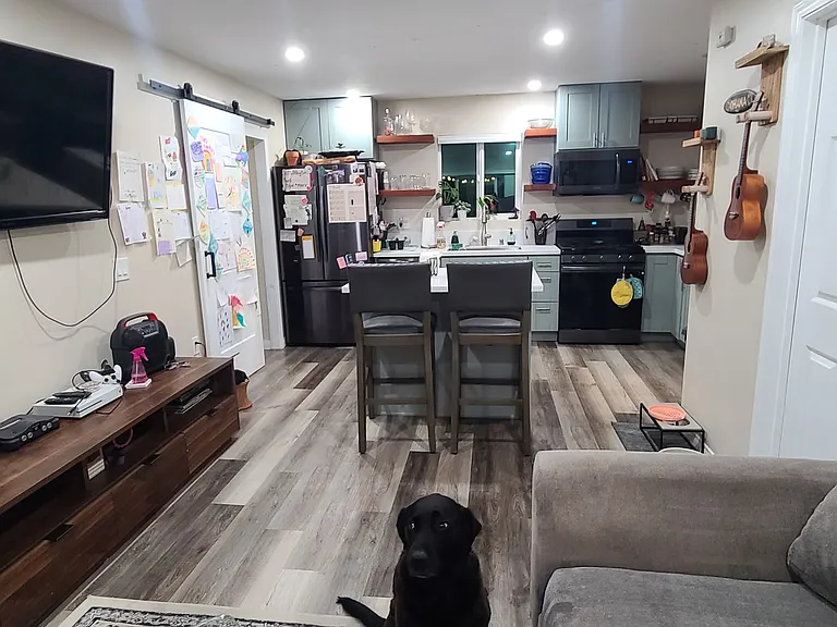 4676 Doliva Dr — Photo 14