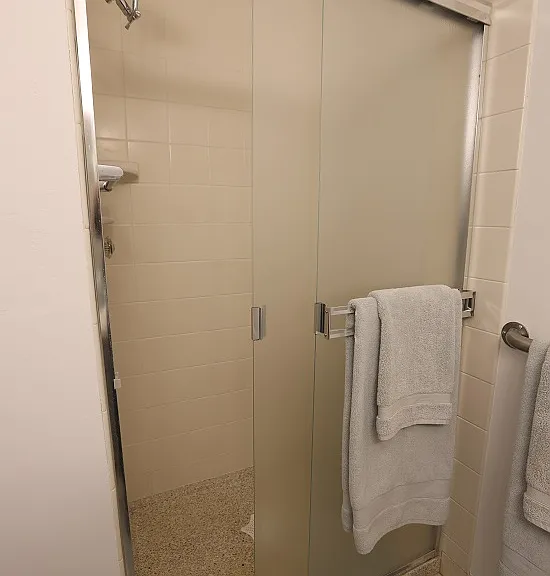 Walk-in shower in the en suite primary bath.