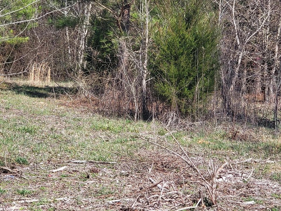 Lot 2 Momeyer Way, Nashville, NC 27856 Zillow