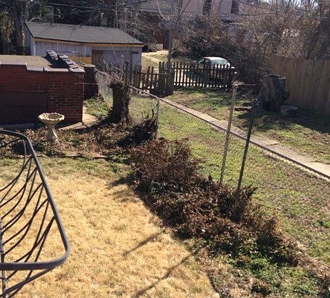 back yard