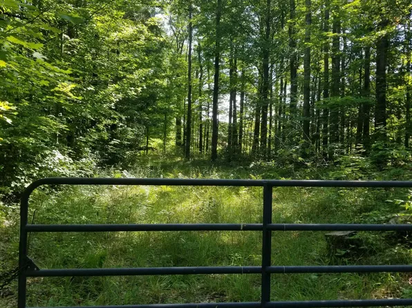 Vl South Ave #88, New Era, MI 49446