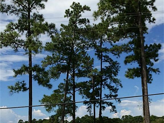 Access to Lake Livingston
