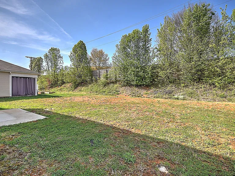 1441 Gress Mag Mtn — Photo 39