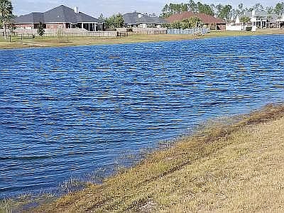 3rd image of 7516 Nautical Ct