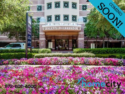 330 Las Colinas Blvd #274, Irving, TX, 75039