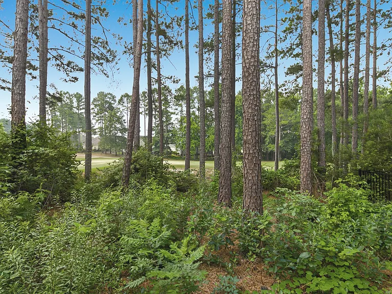 73 Falconridge Dr — Photo 40