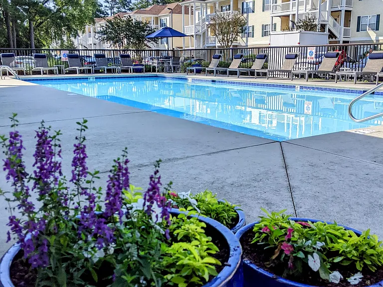 The Park at Three Oaks Apartments — Photo 2