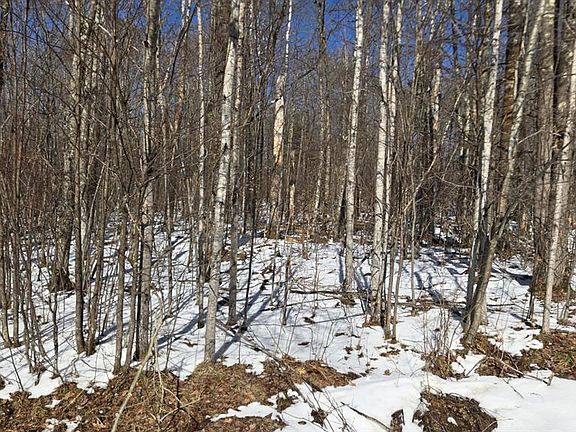 4th image of Lot 90 Silver Birch Drive