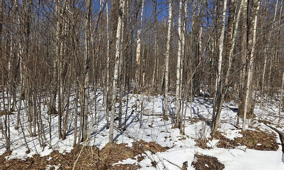 1st image of Lot 90 Silver Birch Drive