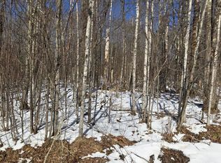 LOT 90 Silver Birch Dr, Cable, WI 54821