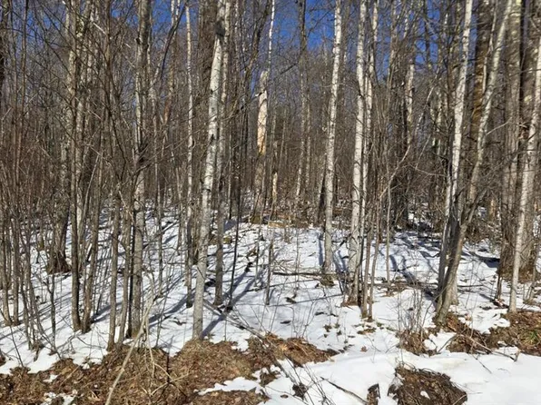 Lot 90 Silver Birch Drive, Cable, WI 54821