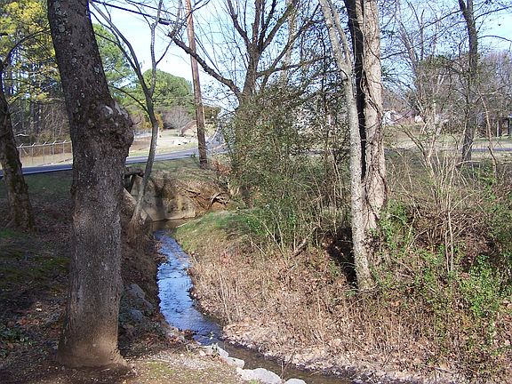 Peacful Creek in Backyard