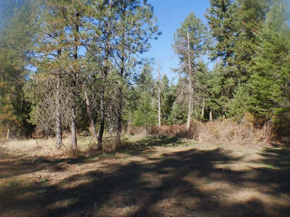 E Bell Canyon Rd, Harrison, ID 83833