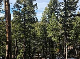 321 Tillicum Trl, Woodland Park, CO 80863