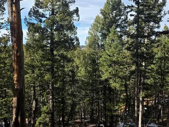 321 Tillicum Trl, Woodland Park, CO 80863