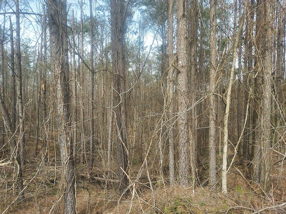2nd image of 3550 Cole Hill Rd