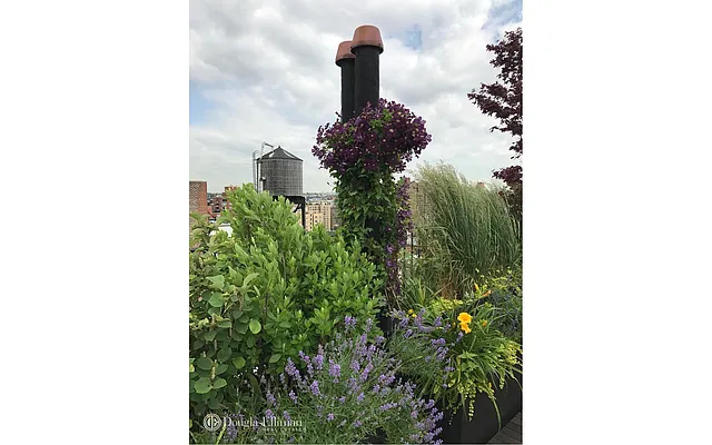 Sold by Douglas Elliman | media 19