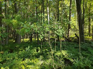 Vl Grass Lake Rd, West Branch, MI 48661