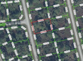 8228 Mantua Ave, Sebring, FL 33872