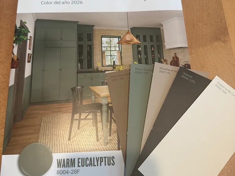 Color profile for renovations:
Cream- all walls
Milk Chocolate- all inside doors
Warm Eucalyptus- all cabinets in kitchen and bathroom
Woodland Stone & Tomcat- Outdoor paint