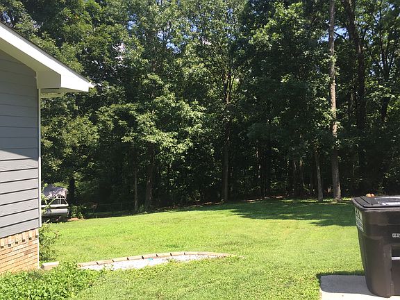 Back yard