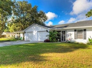 127 N Rhodes St, Mount Dora, FL 32757