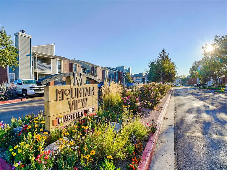 Mountain View — Photo 1