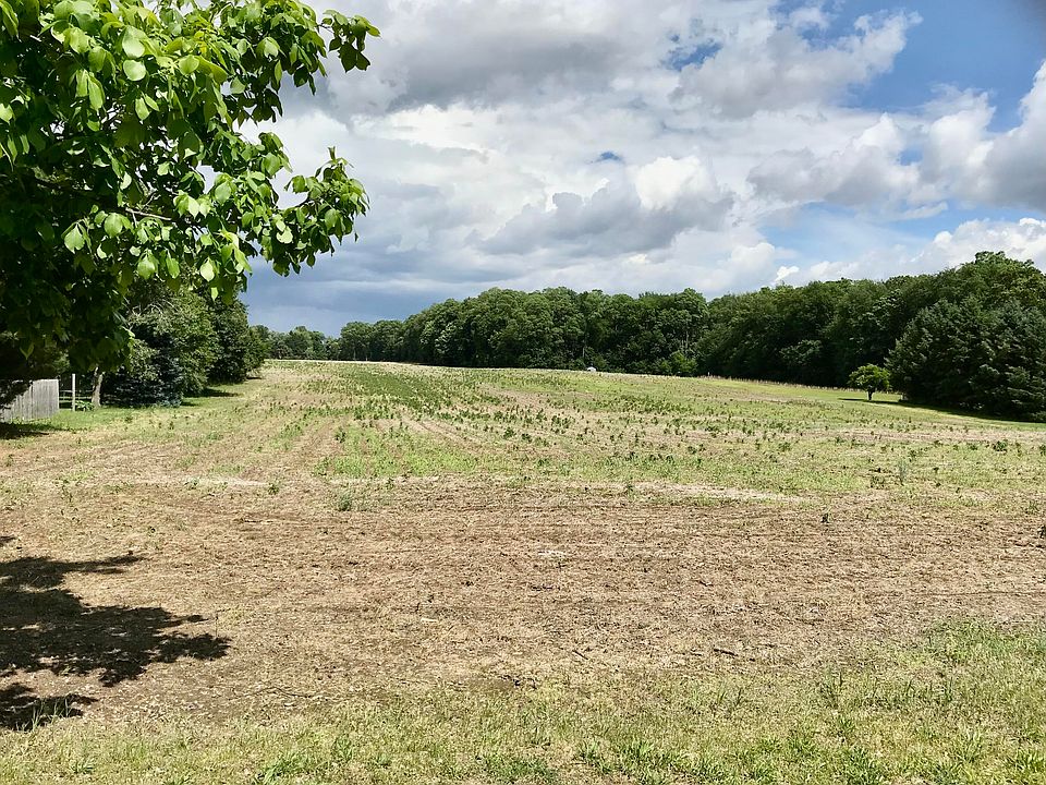 2nd image of Carls Rd