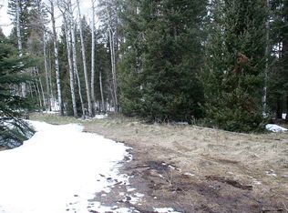 1851 Spruce Rd, Arrowhead Area, CO 81220